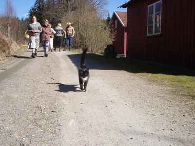 The Western Movie, bild 14