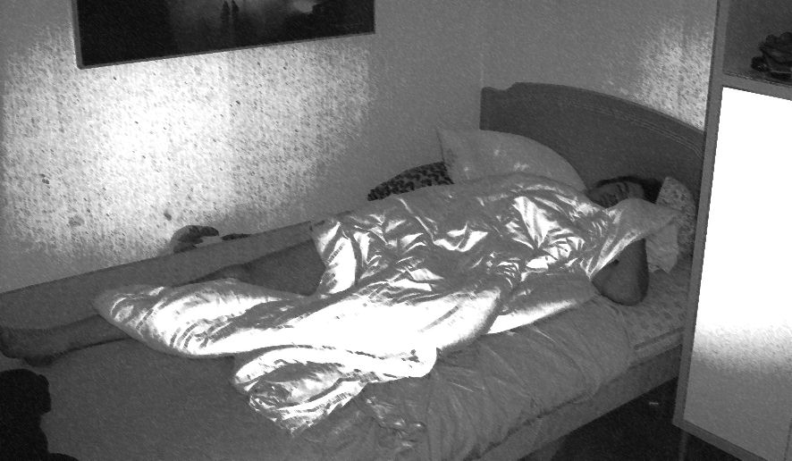 Sover